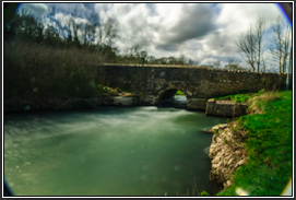 Windrush_small_02