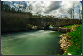 Windrush_small_04