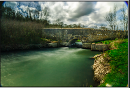 Windrush_small_05
