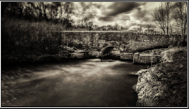 Windrush_small_08