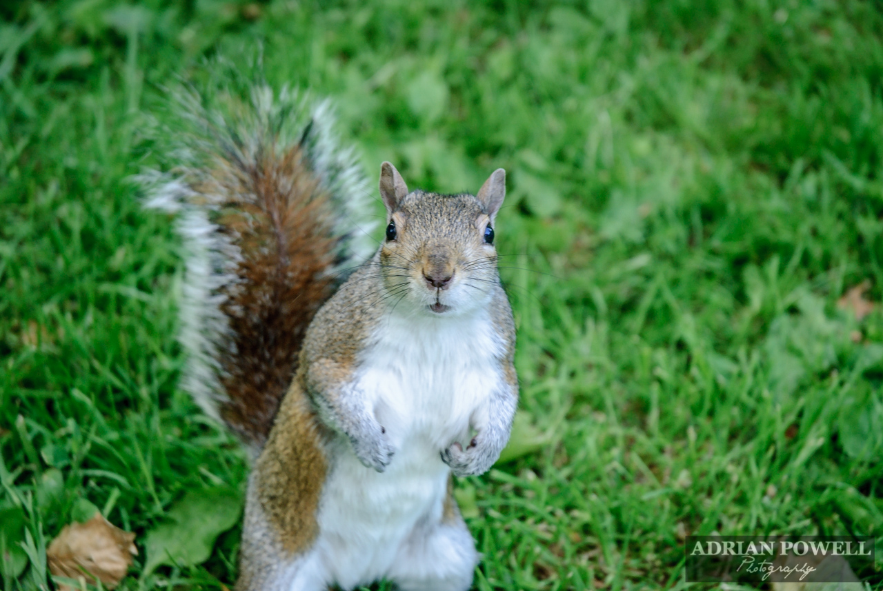 Got any food for me?