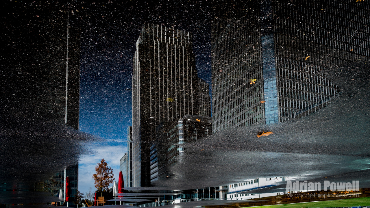 Reflected Wharf